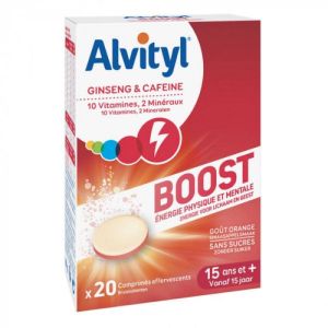 Alvityl Boost Ginseng et Caféine 20 Comprimés